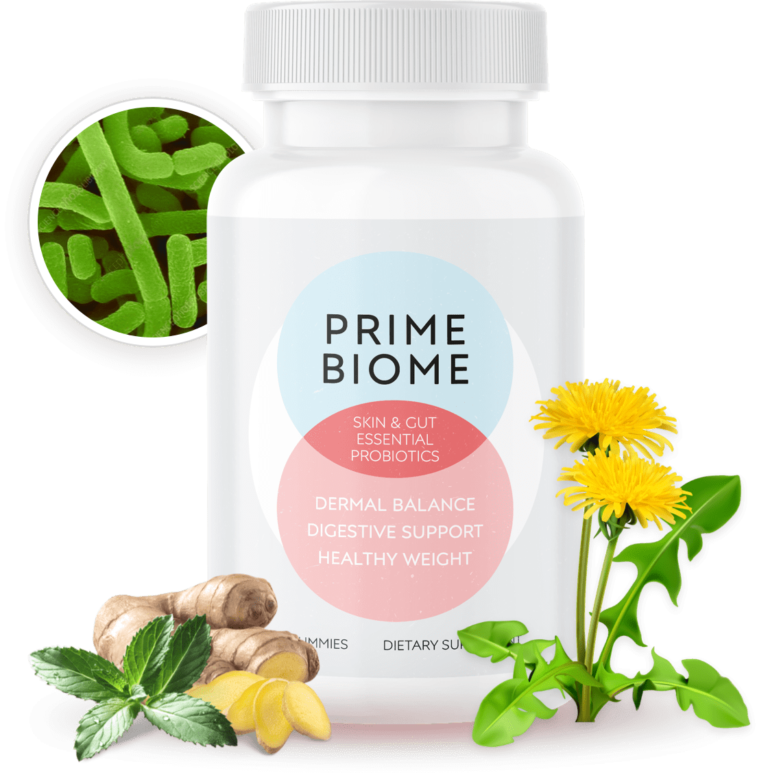 What is PrimeBiome Supplement What is PrimeBiome Supplement