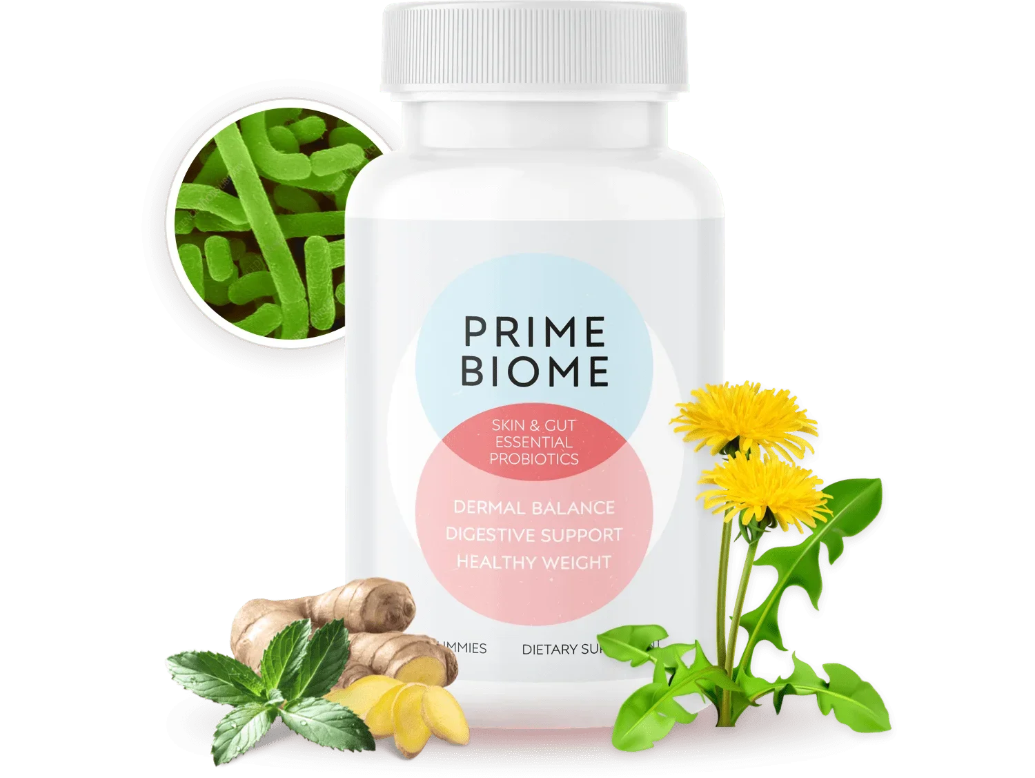 PrimeBiome